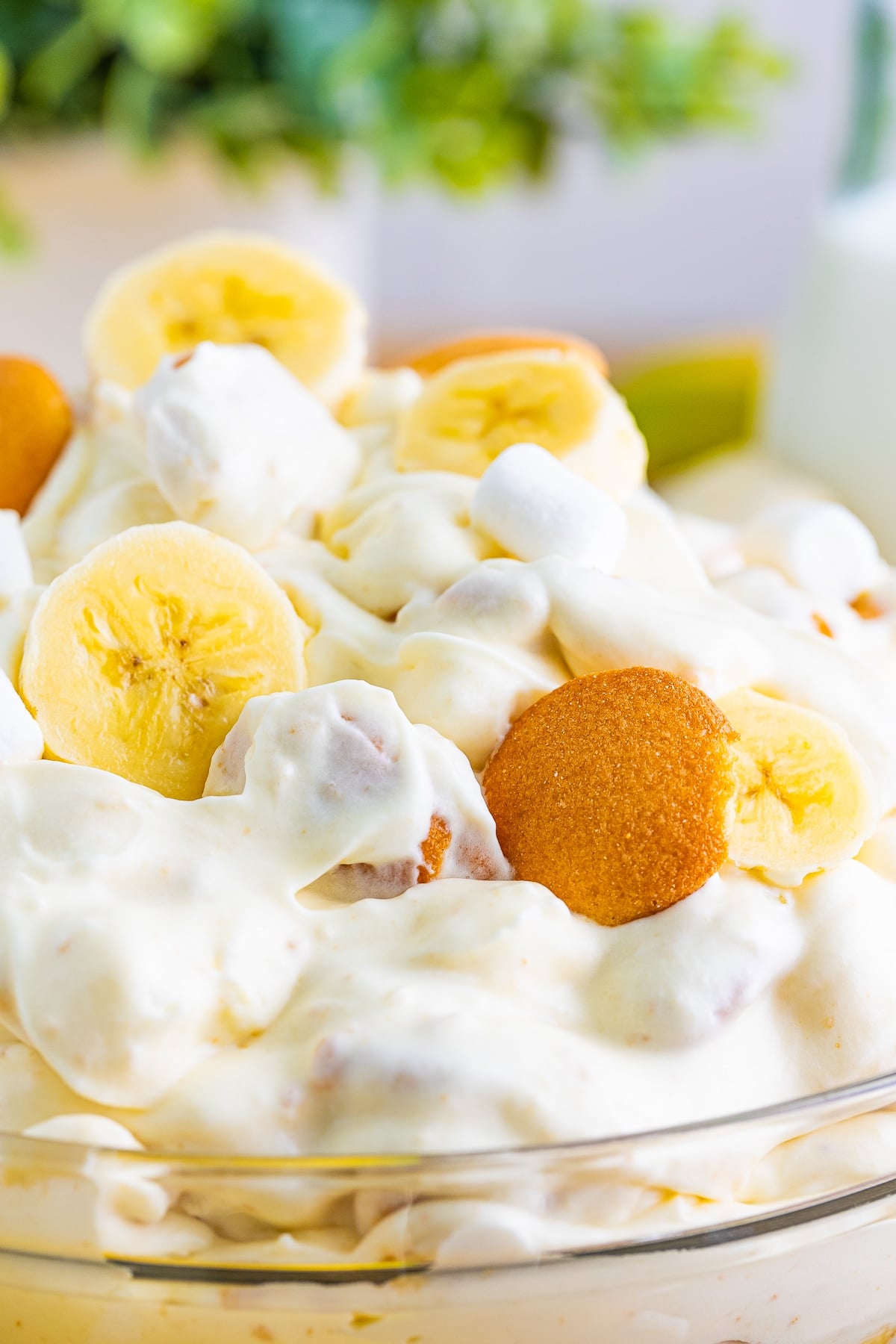 up close image of Fluff Salad in a clear bowl with garnishes