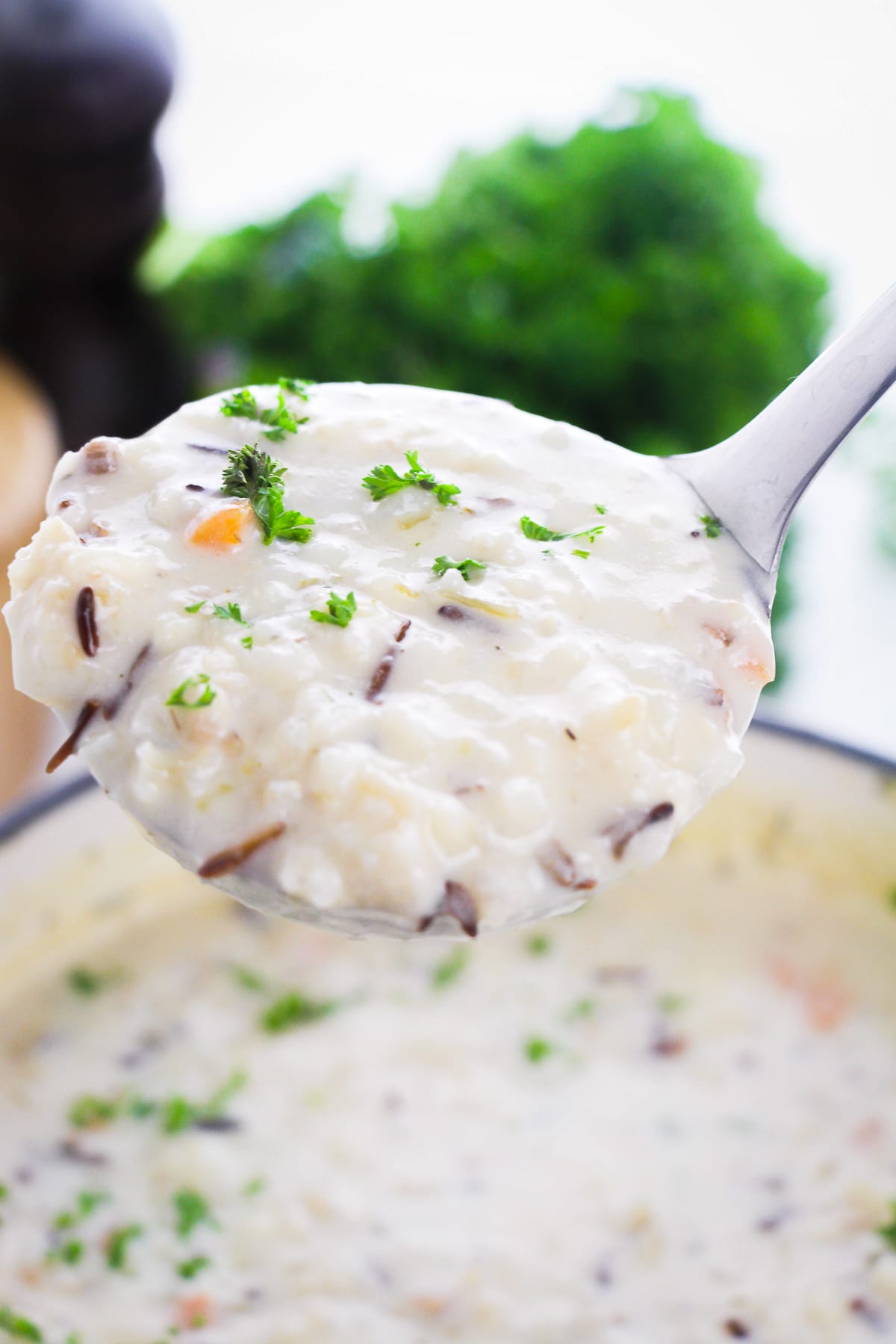 a ladle holding up a portion of wild rice soup in air