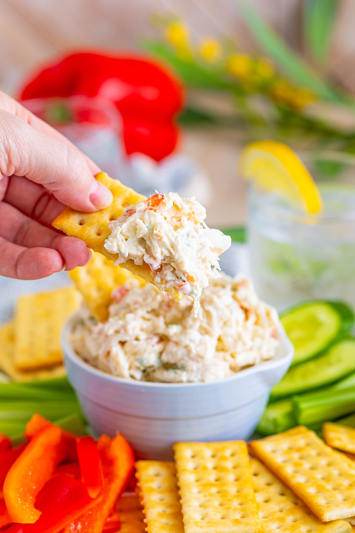 a hand holding up a crack with Cold Crab Dip on it in air
