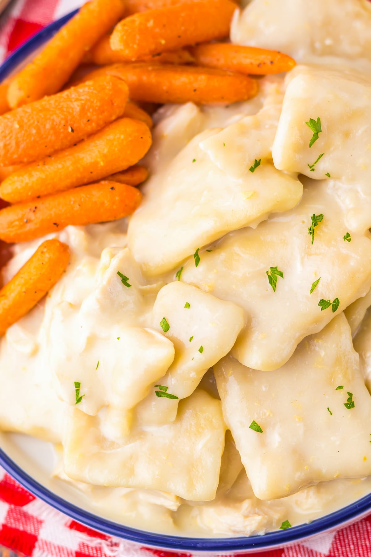up close overhead image Cracker Barrel Chicken Dumplings 