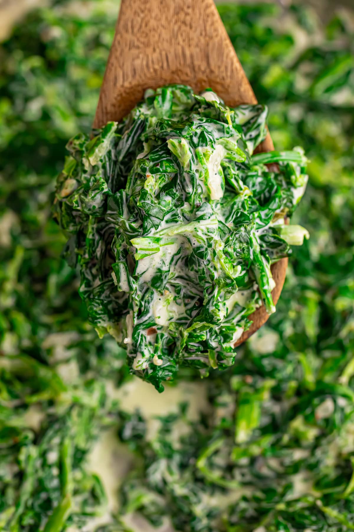 up close image of a wooden spoon holding Creamed Spinach in air