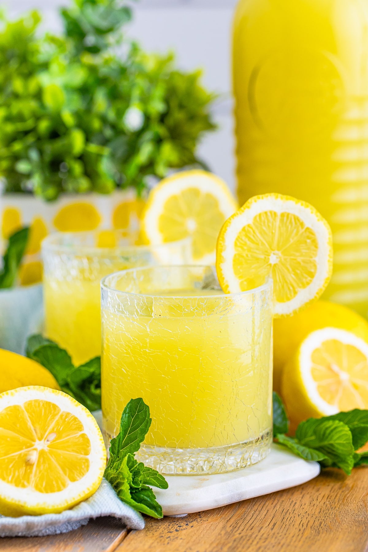 straight on image of Homemade Limoncello served in cocktail glasses