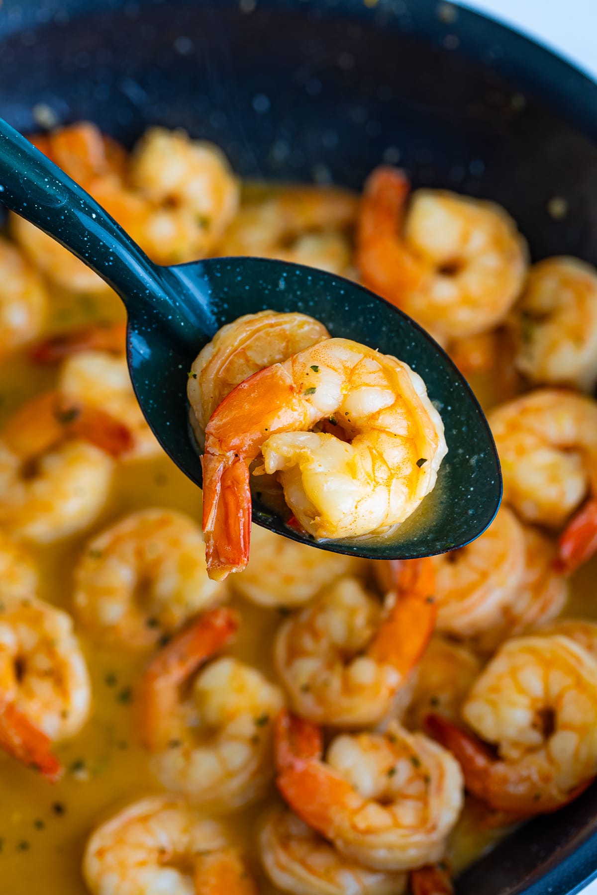 a blue spoon holding up New Orleans BBQ Shrimp over skillet in air