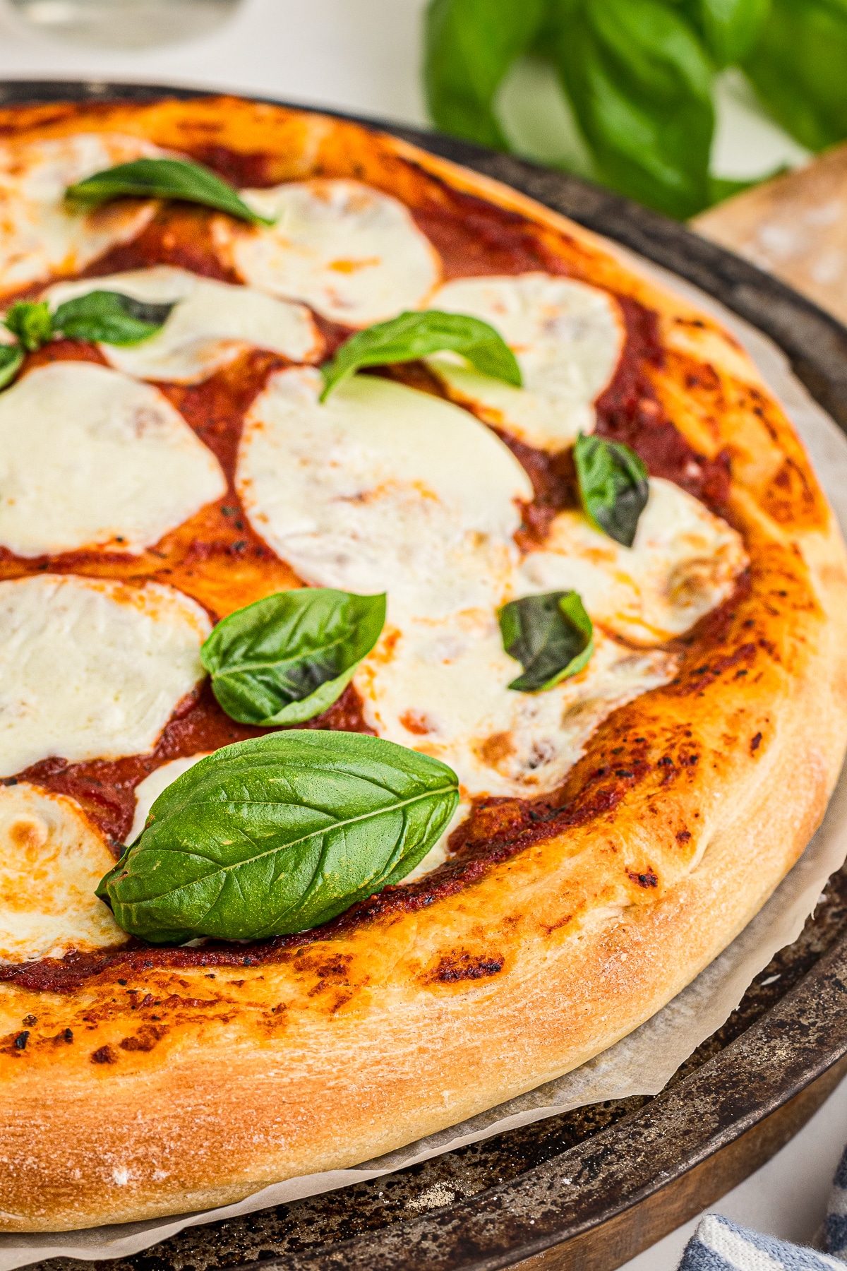 up close image of Neapolitan Pizza Dough Recipe