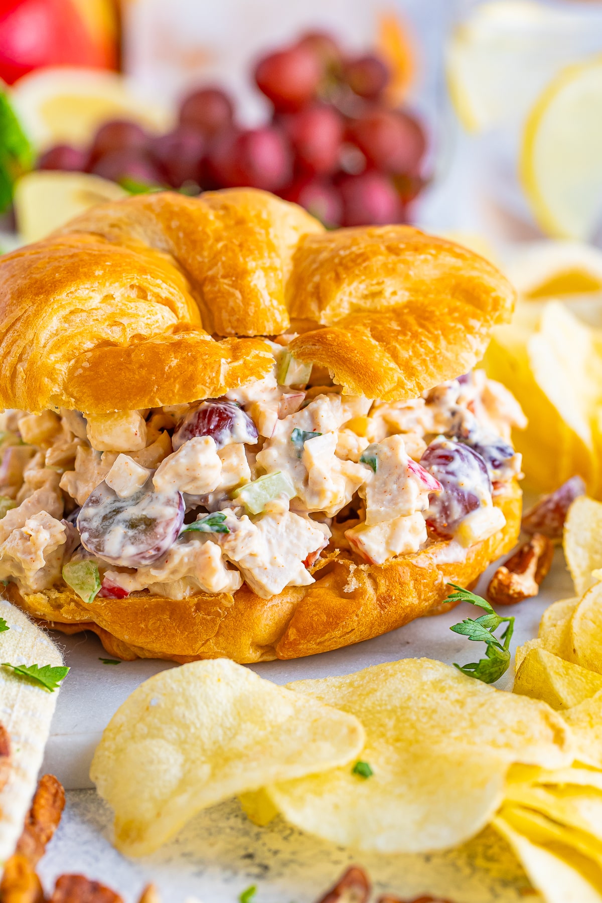 Chicken Salad Recipe on a croissant up close