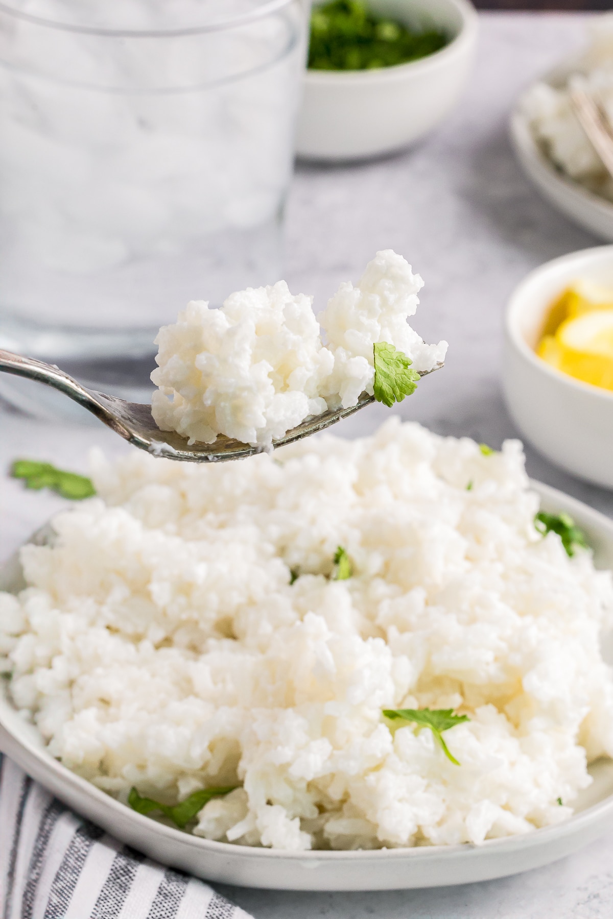 a fork holding up a bite of Coconut Rice in air