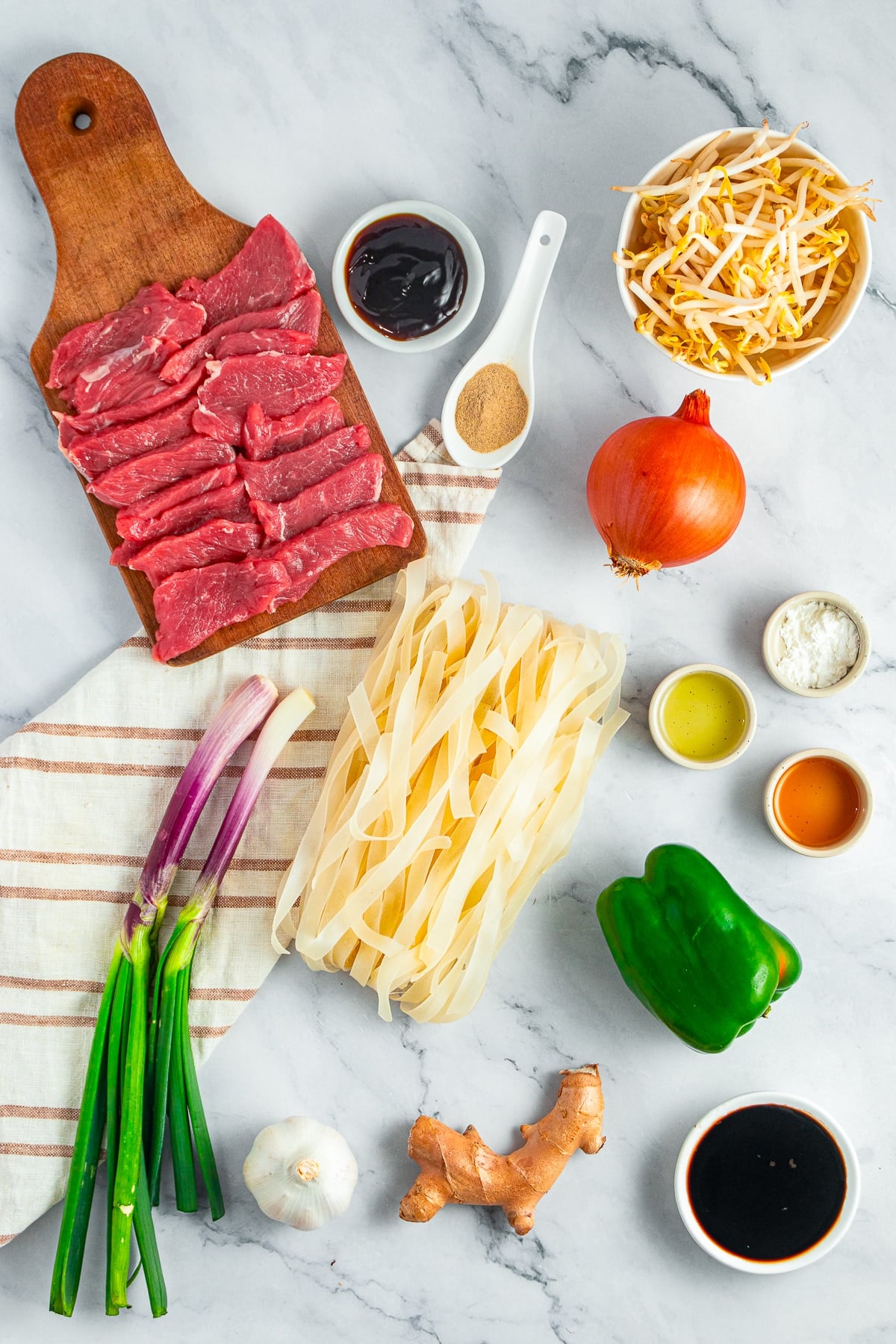 ingredients needed to make Beef Chow Ho Fun