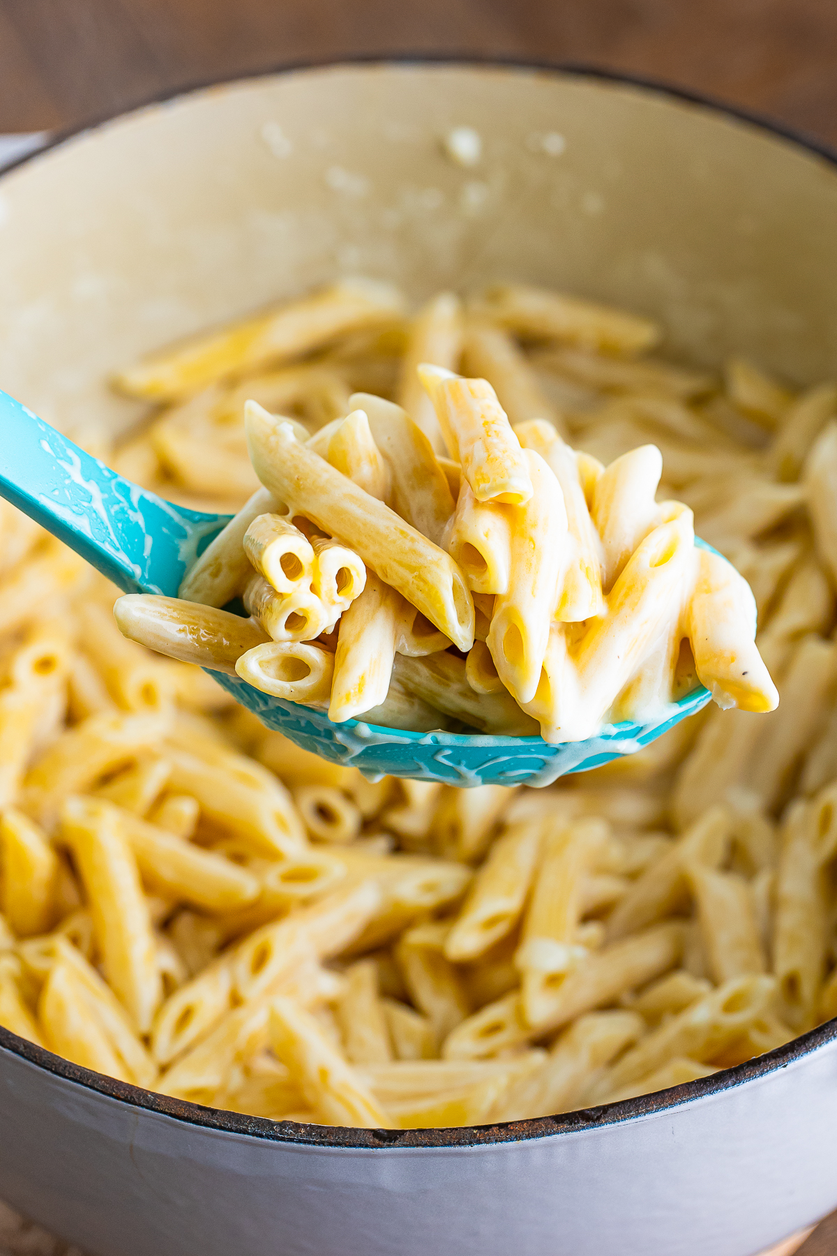 a spoon holding up Alfredo Sauce with Penne Pasta over a pot
