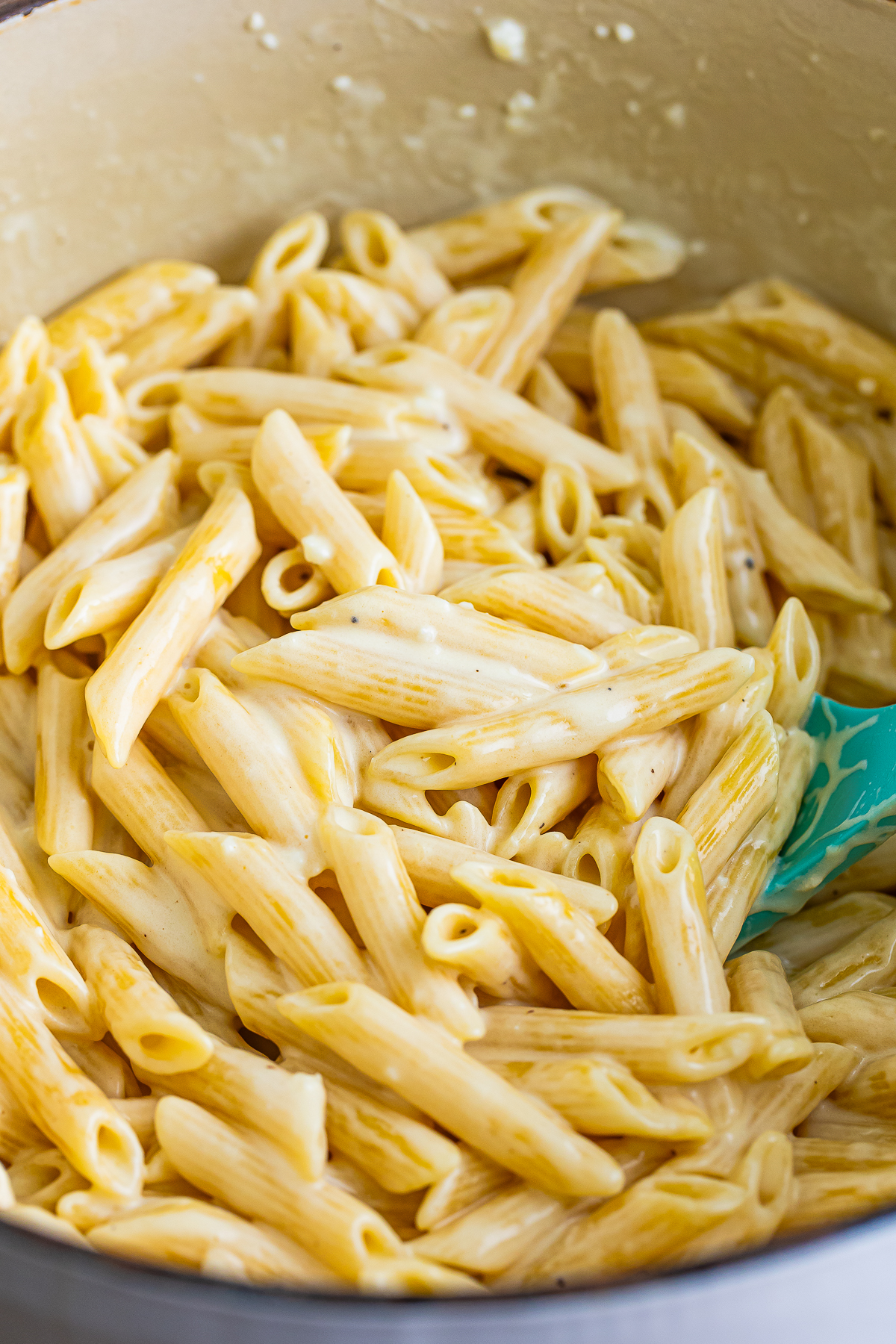 Alfredo Sauce with Penne Pasta finished in pot