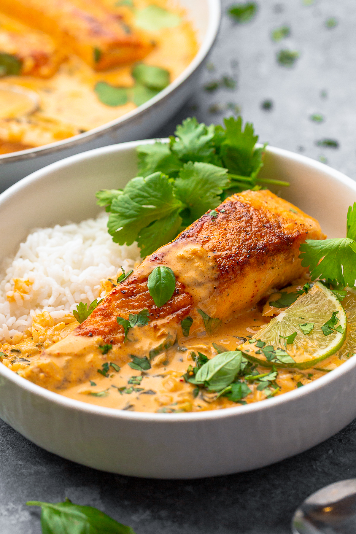 Curry with Salmon in a bowl with rice
