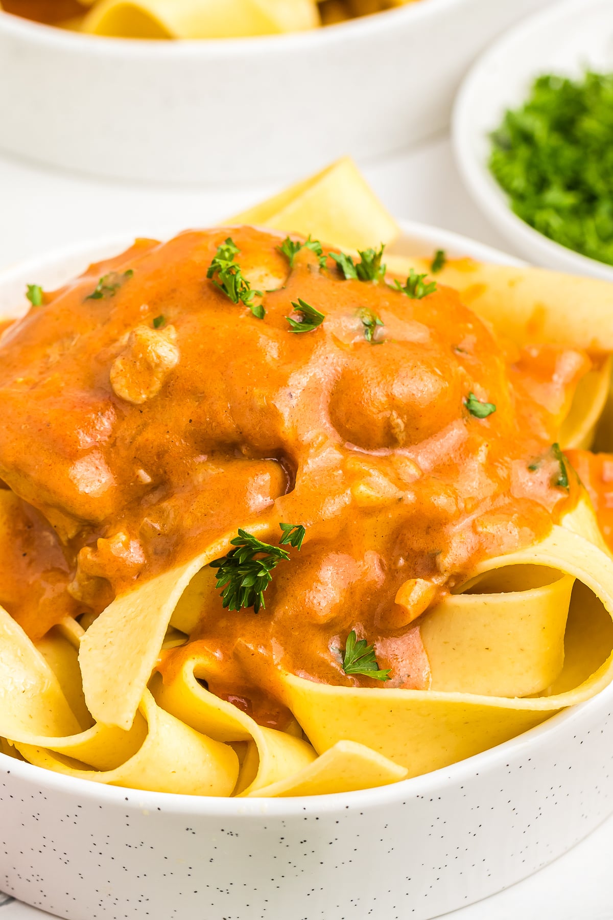 Paprika Chicken served over noodles