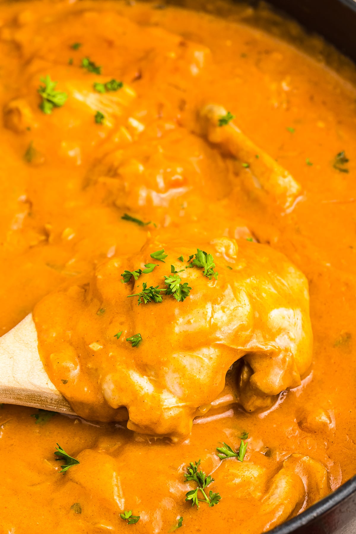 a spoon in a skillet full of Paprika Chicken