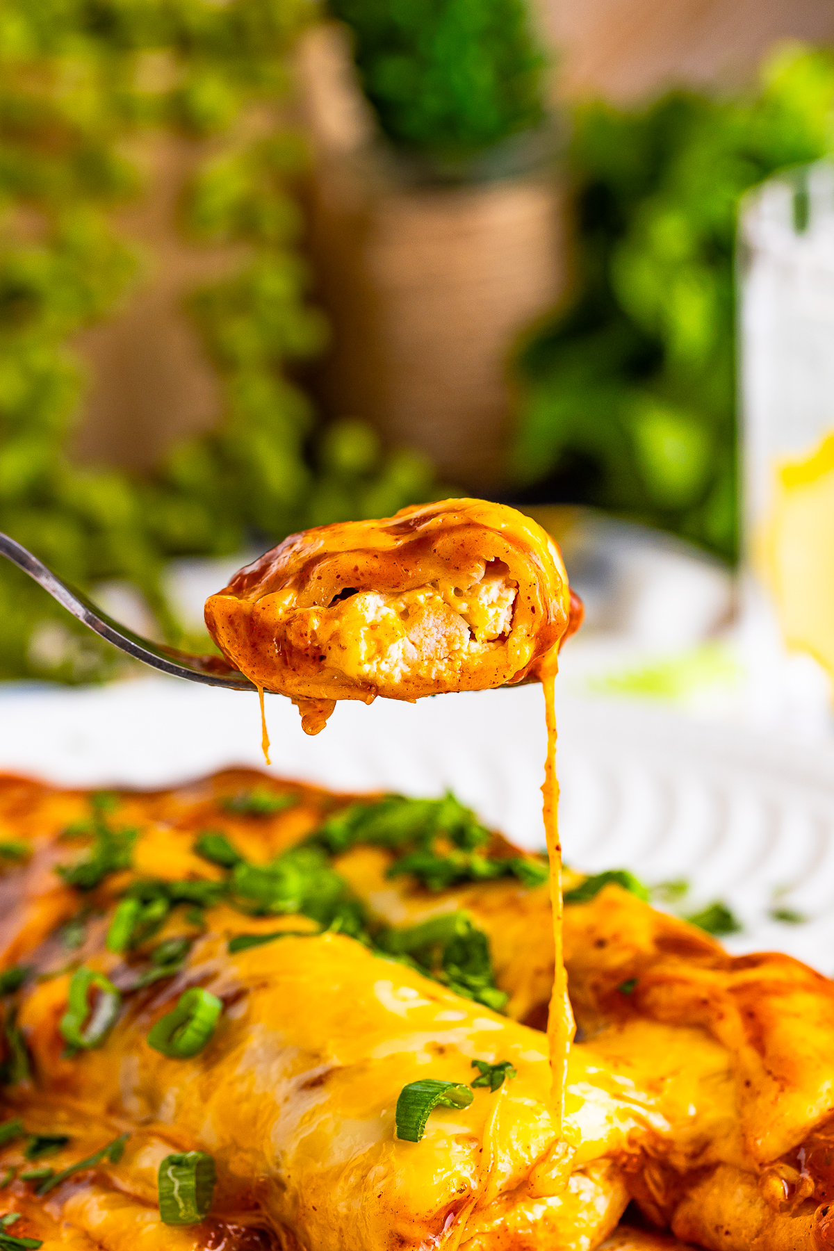 a fork holding up a bite of Rotisserie Chicken Enchiladas in air