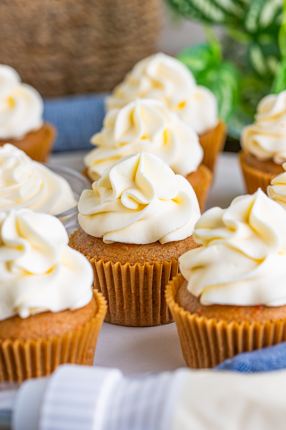 cupcakes with Whipped Cream Cream Cheese Frosting on them