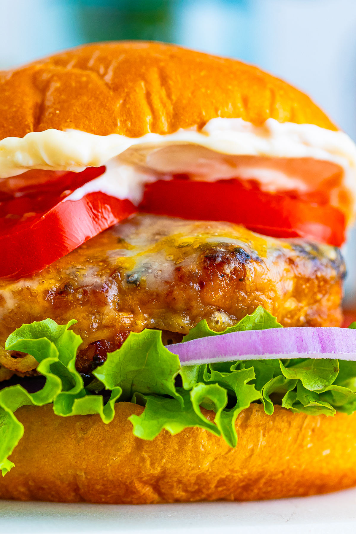 upclose image of a finished turkey burger recipe