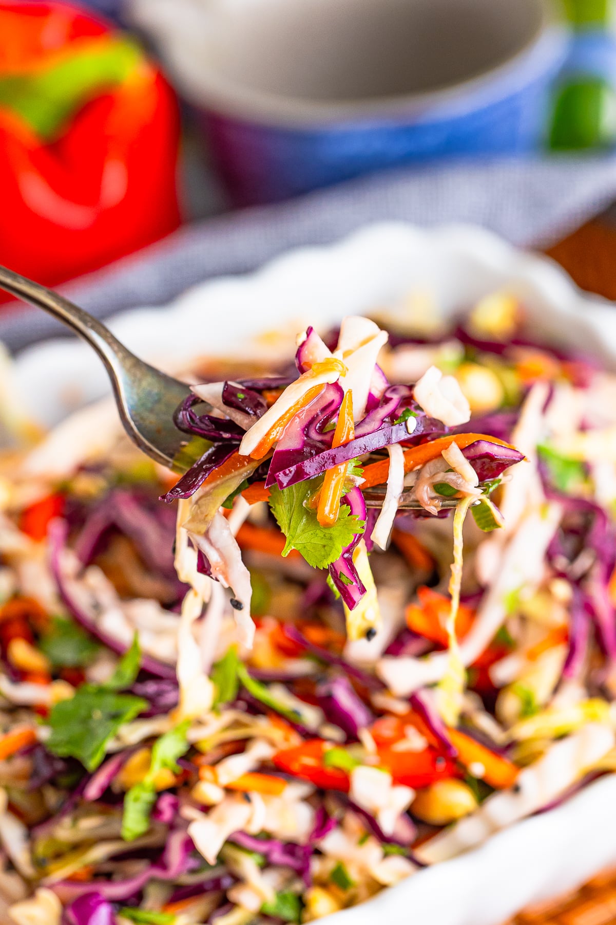 a fork holding up a bite of Asian Slaw Recipe in air