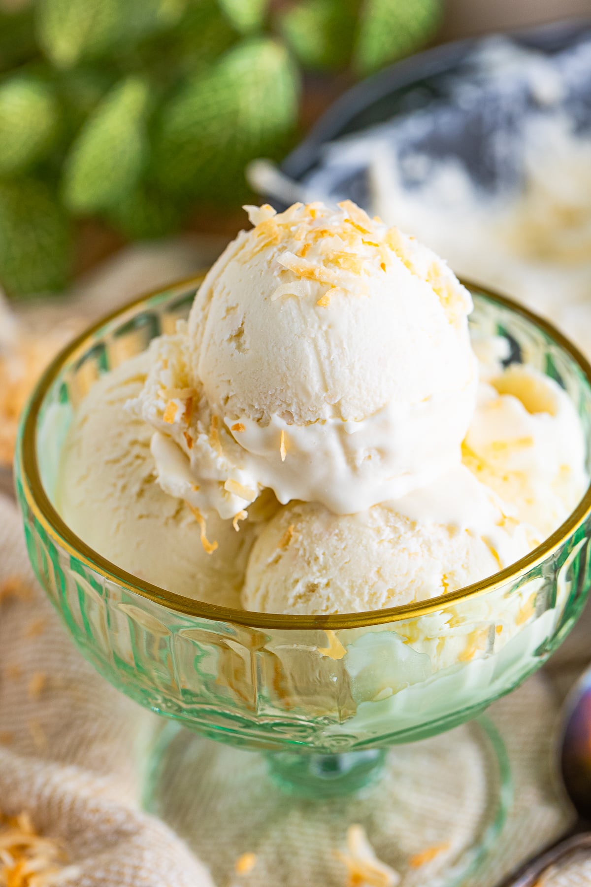 close up image of Coconut Ice Cream in a serving dish