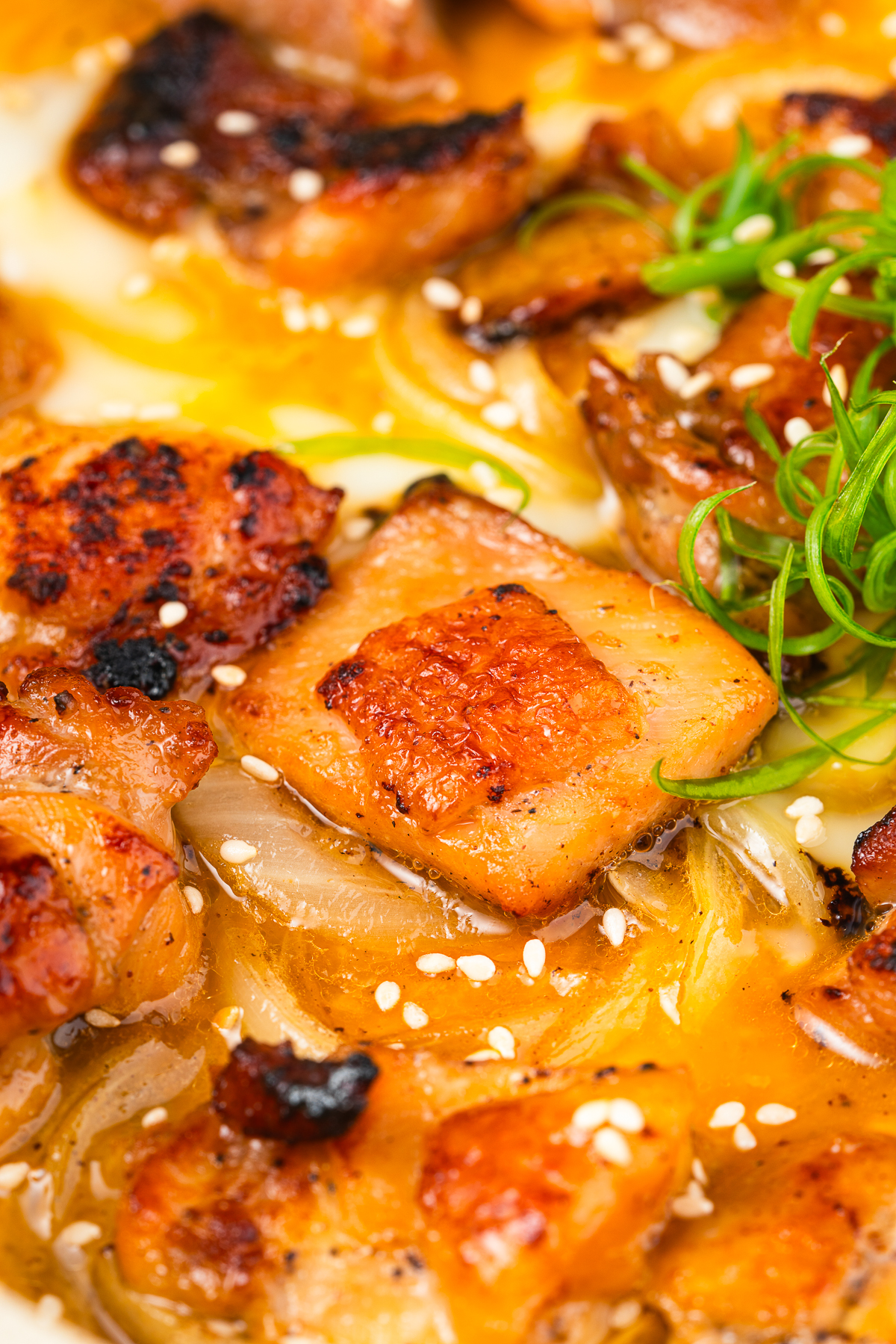 upclose image of finished Oyakodon