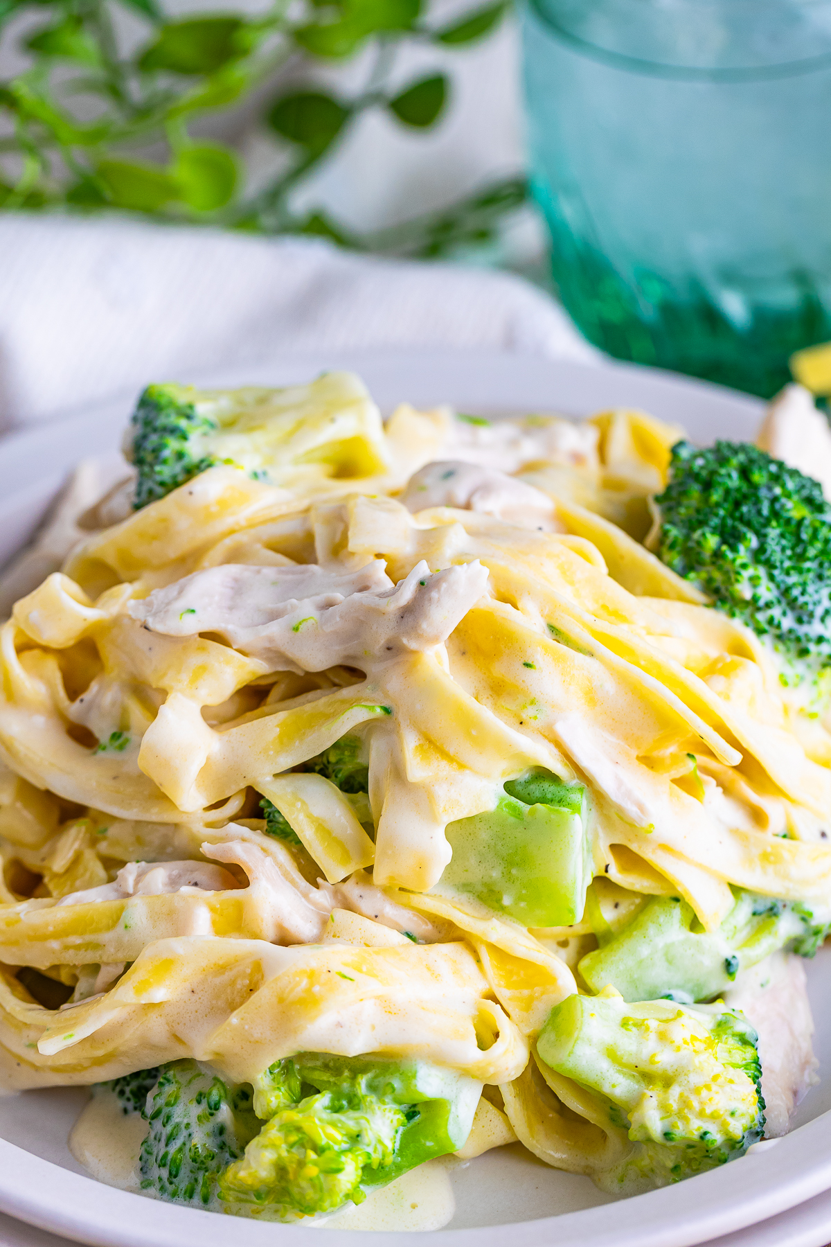 Chicken and Broccoli Fettuccine Alfredo served on a white plate