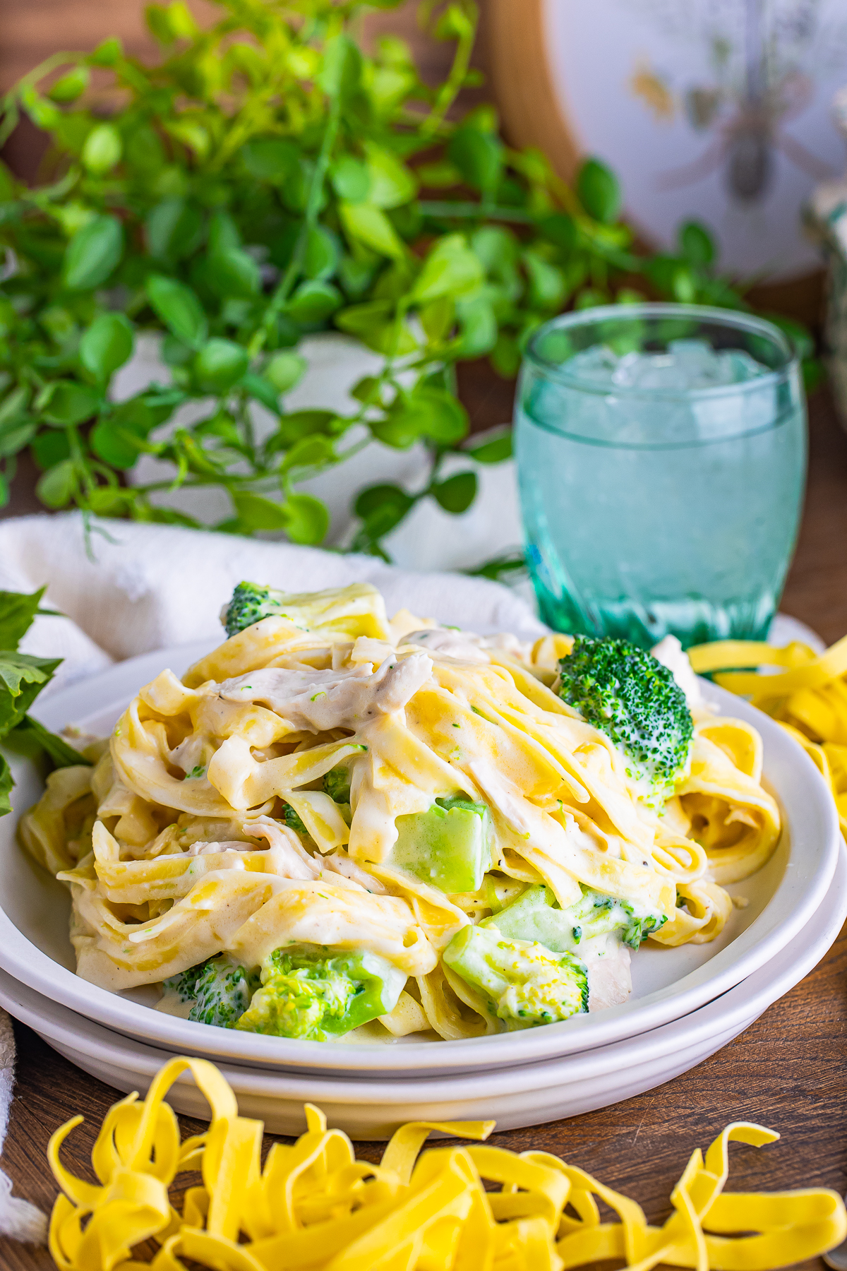 Chicken and Broccoli Fettuccine Alfredo served on a table top