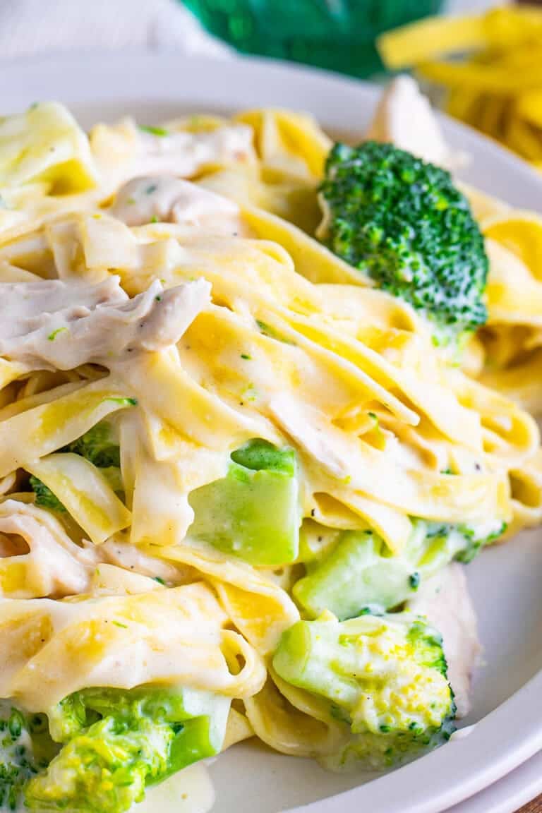 A plate of creamy chicken and broccoli fettuccine alfredo twirled on a fork.