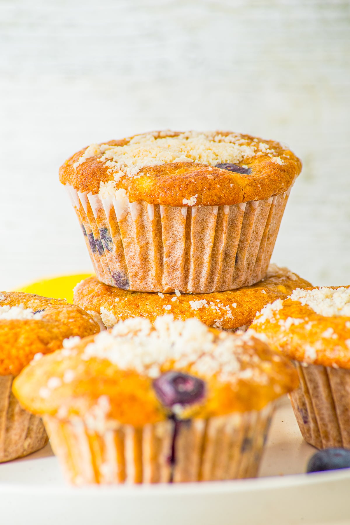 cottage cheese muffins served on a white plate