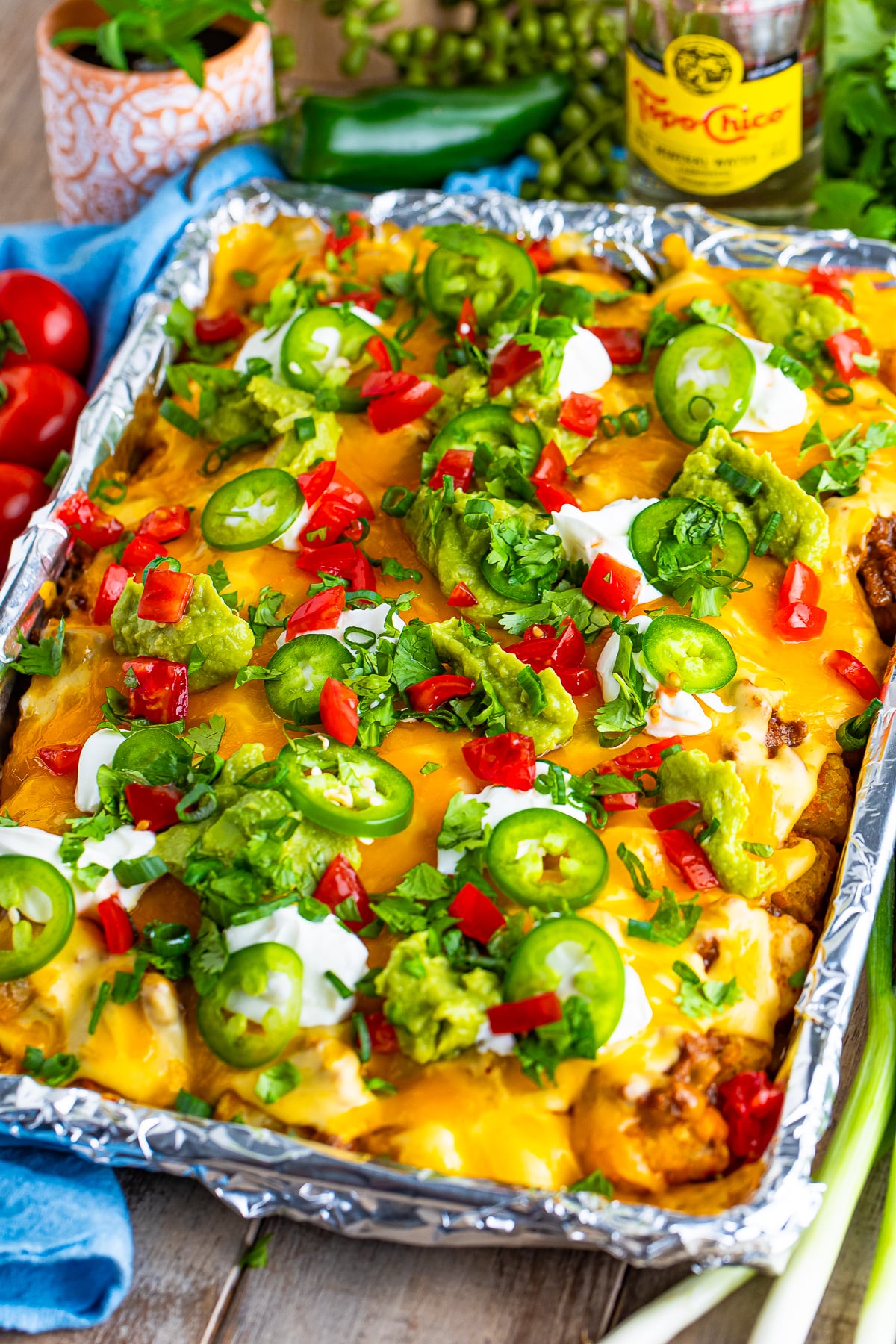 I love tater tots and I love nachos. BOOM! Tater Tot Nachos! 