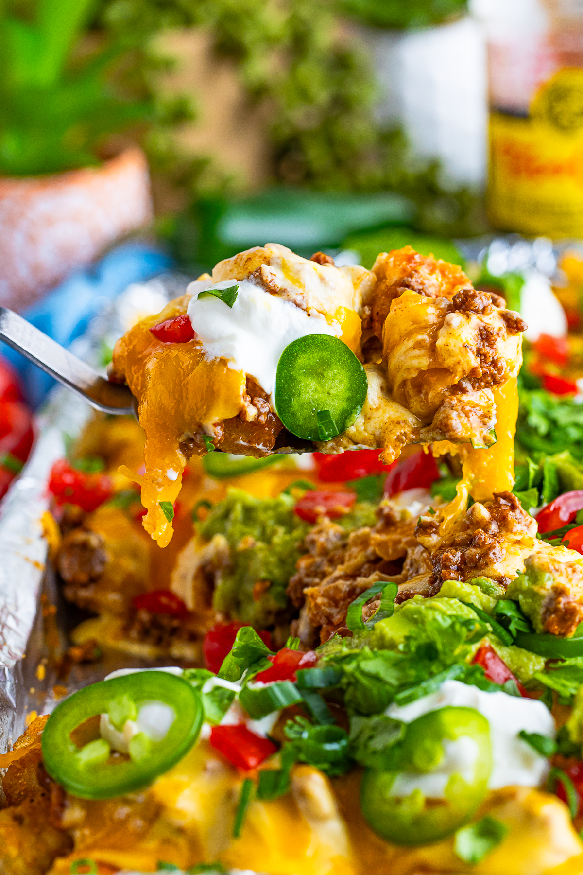 I love tater tots and I love nachos. BOOM! Tater Tot Nachos! 