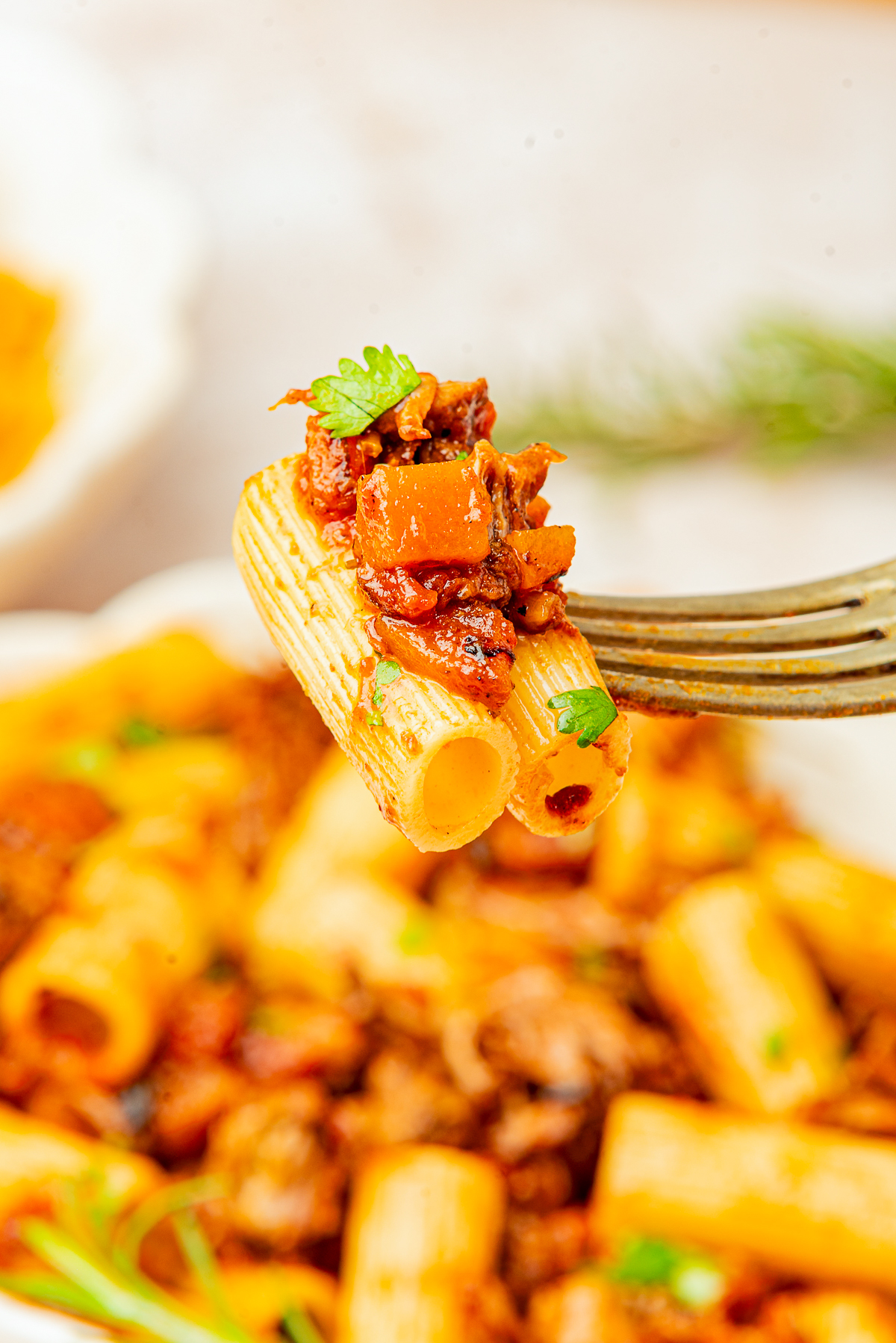 w dishes feel cozier than a pot of Beef Short Rib Ragu bubbling away on the stove.

This rich Italian meat sauce (it’s called ragu alla in some cookbooks) turns boneless beef short ribs, crushed tomatoes, and fresh herbs into the ultimate comfort food!