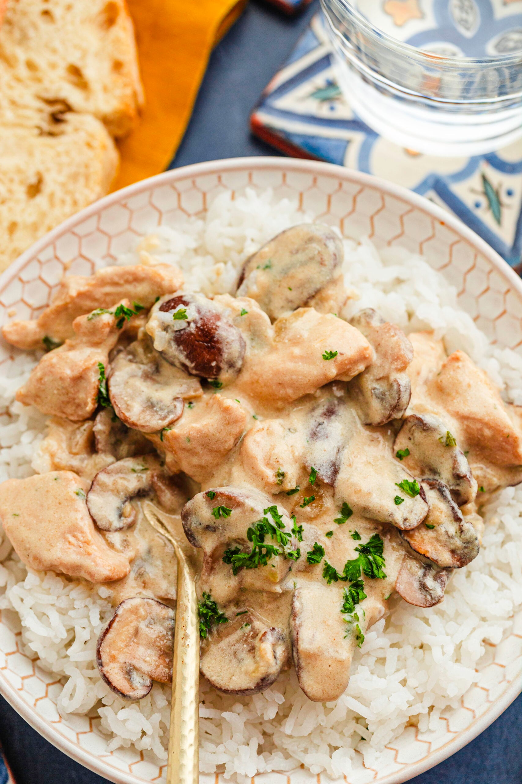Beautiful plate of creamy chicken stroganoff filled with rice and accompanied by bread and water