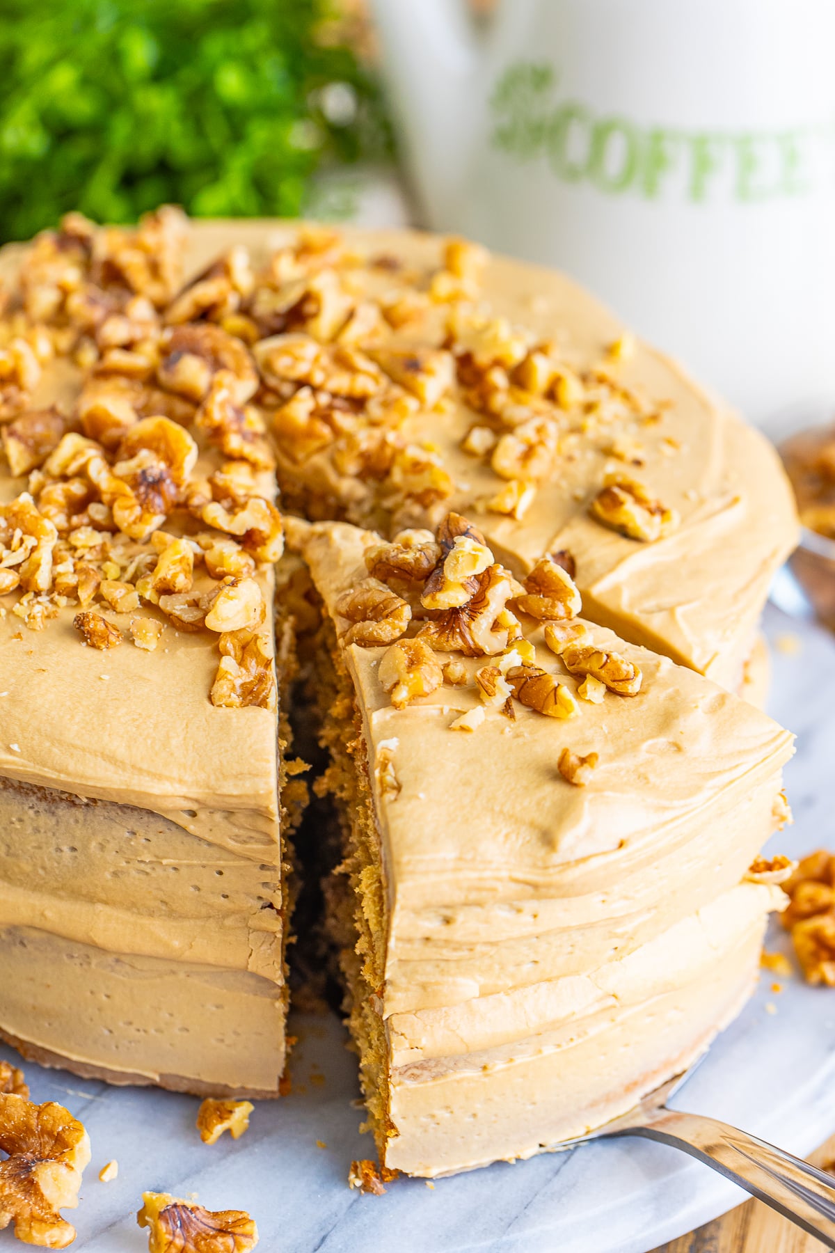 Here in the southern states, cake isn’t just dessert. It’s practically a love language!

When I came across this Coffee Walnut Sponge Cake Recipe, I couldn’t help but think, “Now that’s a slice of heaven.”