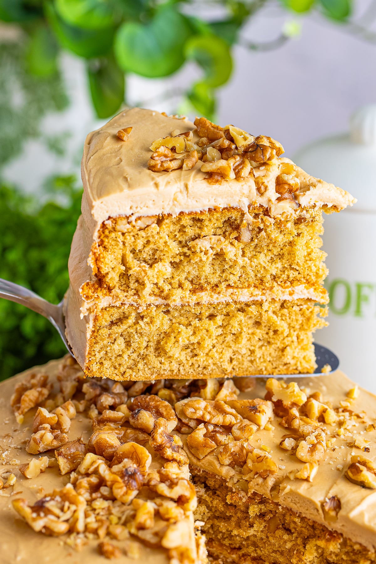 Here in the southern states, cake isn’t just dessert. It’s practically a love language!

When I came across this Coffee Walnut Sponge Cake Recipe, I couldn’t help but think, “Now that’s a slice of heaven.”