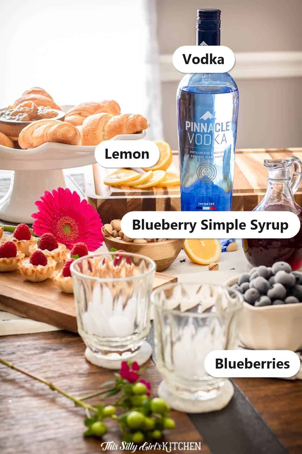 Blueberry Lemonade Cocktail ingredients labeled including vodka, blueberry simple syrup, lemon, and blueberries.