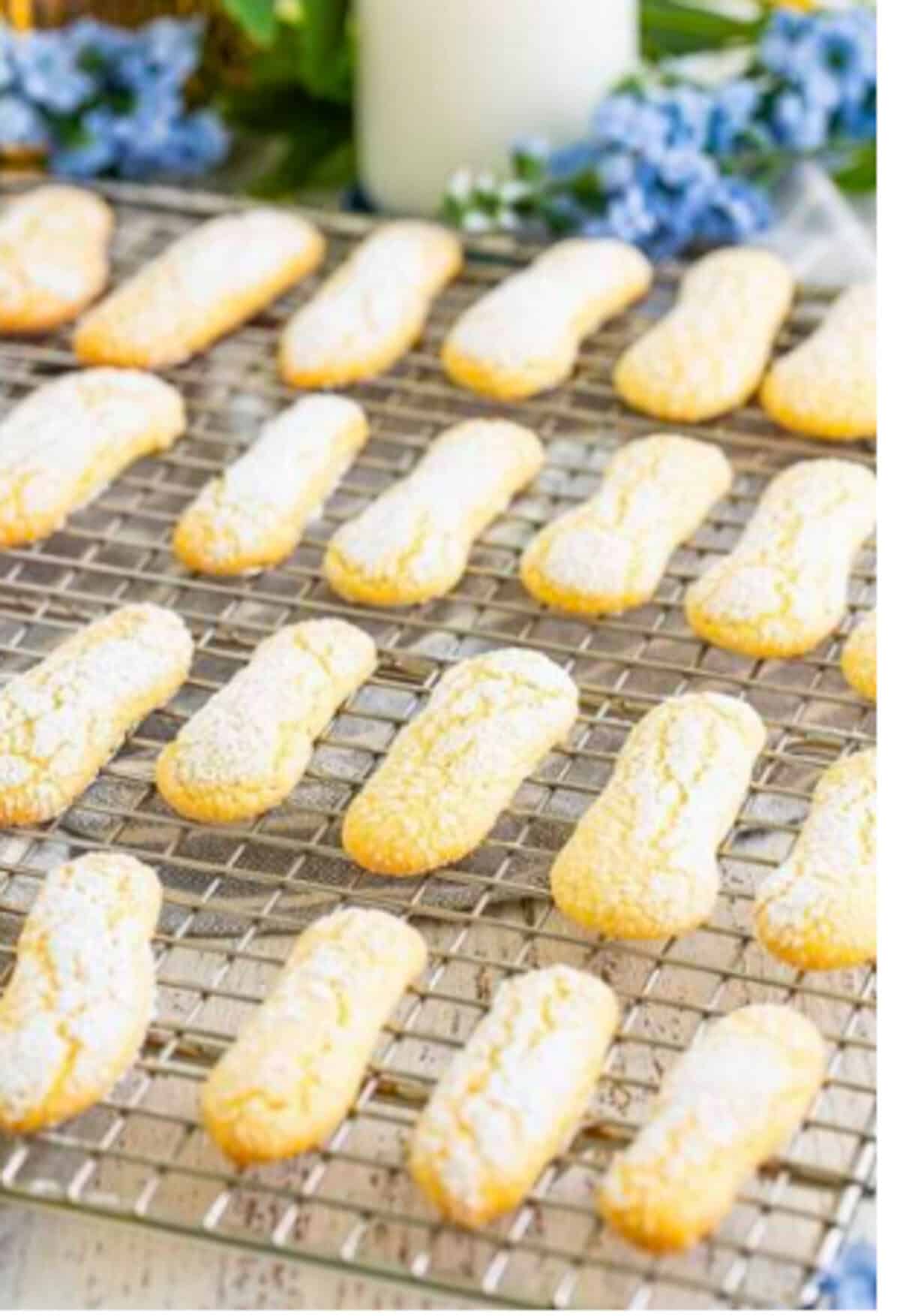Finished Homemade Lady Finger Cookies Recipe dusted generously with powdered sugar then cooling on a wire rack after baking for 12 minutes at 350 degrees Fahrenheit.
