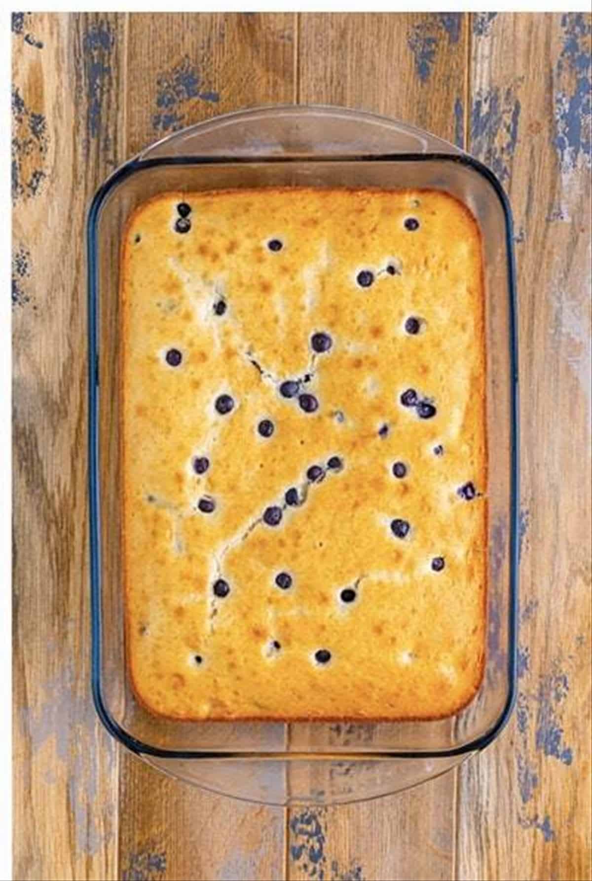 Baked lemon blueberry cake cooling in the pan.