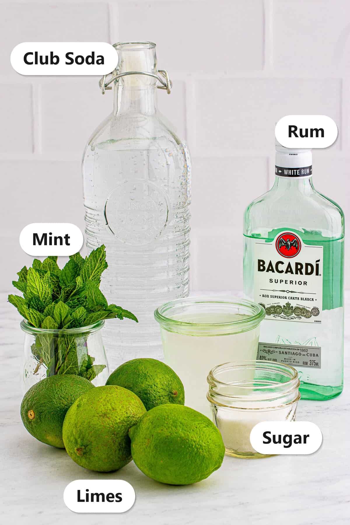 Labeled ingredients for Large Batch Mojitos Recipe including club soda, white rum, fresh mint, sugar, and limes.