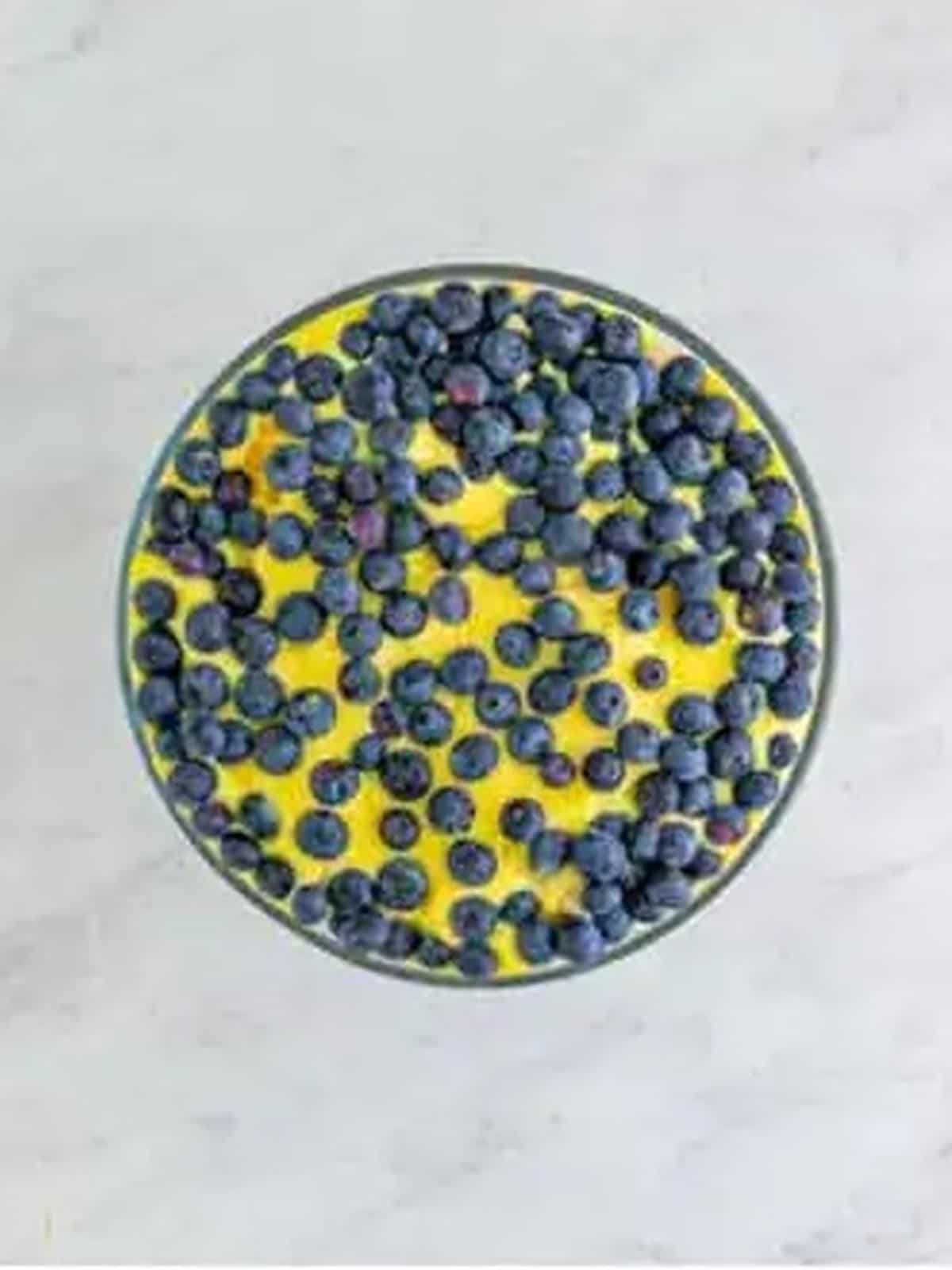 Blueberries layered over pudding in a 4th of July Trifle.