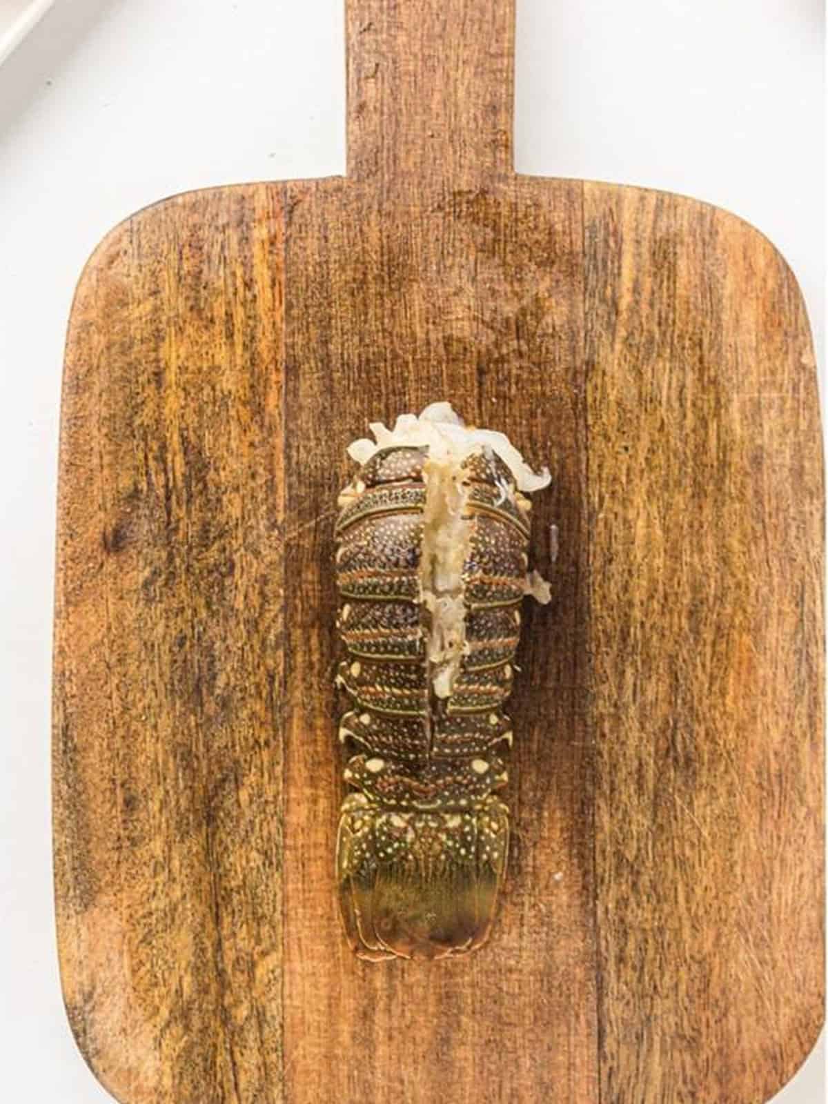 Lobster tail shell spread open with the meat lifted on top.