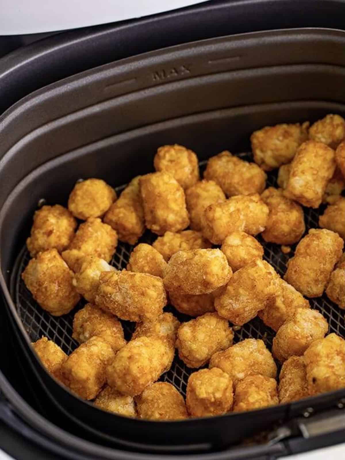 Frozen tater tots arranged in a single layer in an air fryer basket.