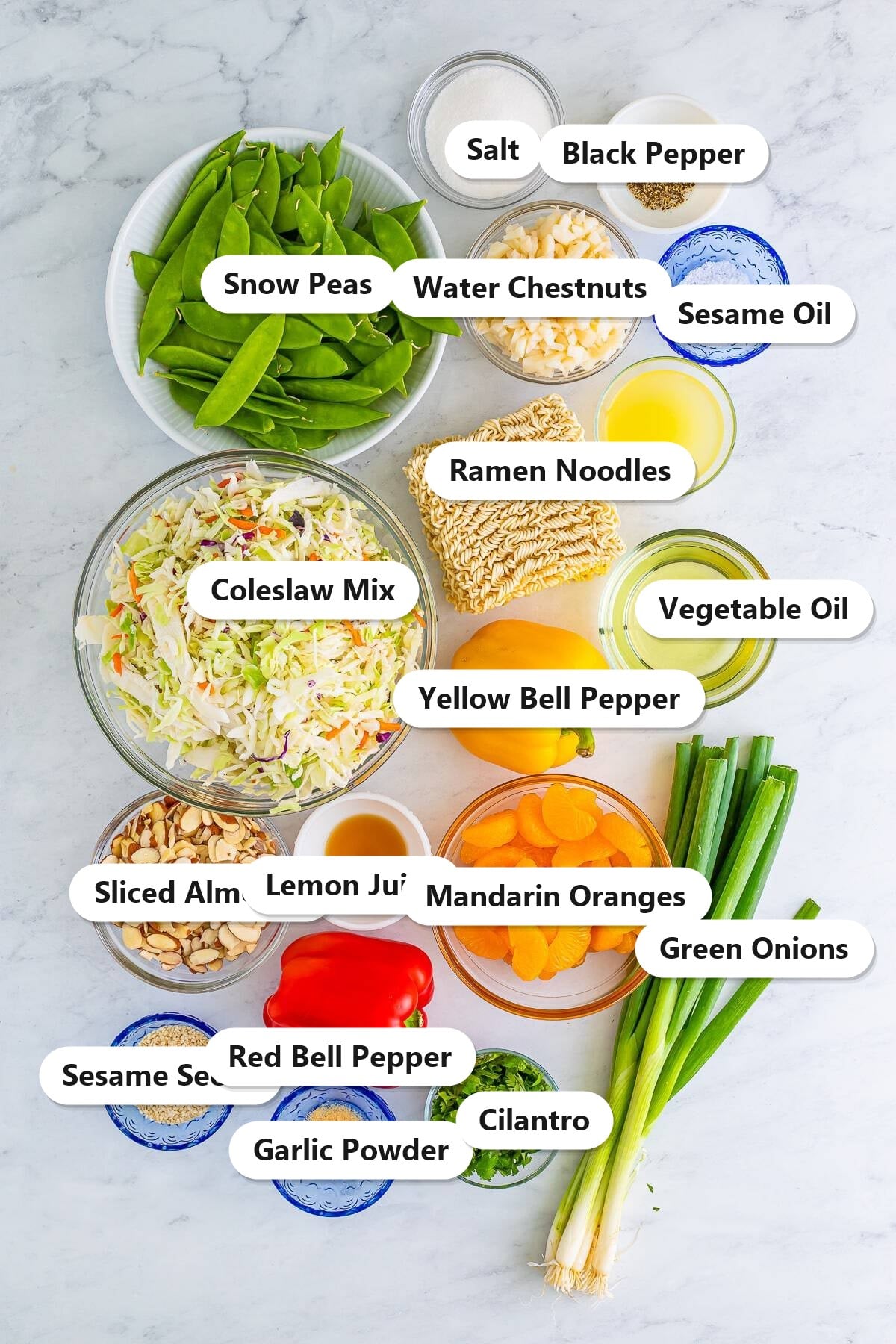 Labeled ingredients for Asian ramen noodle salad including coleslaw mix, ramen noodles, almonds, snow peas, bell peppers, mandarin oranges, water chestnuts, green onions, and dressing.