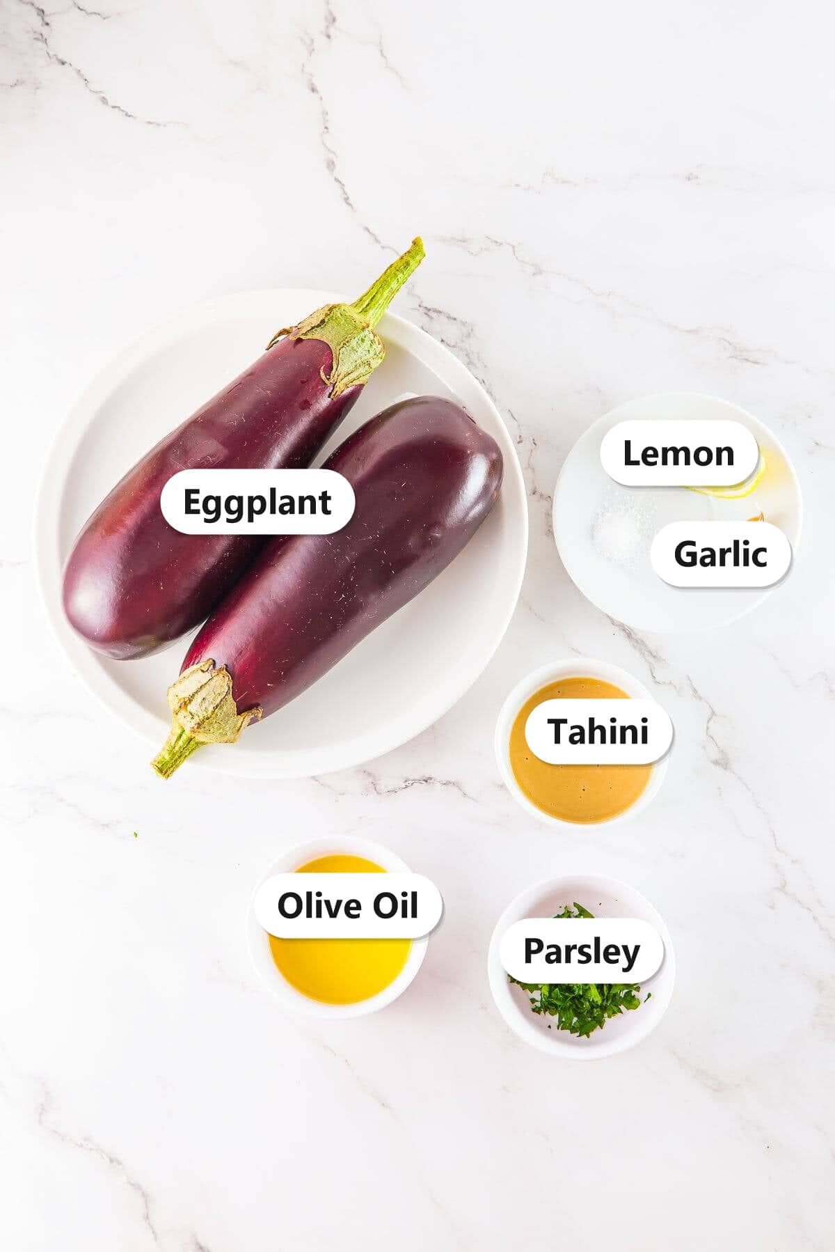 Labeled ingredients for baba ganoush including eggplant, tahini, olive oil, garlic, lemon, and parsley.