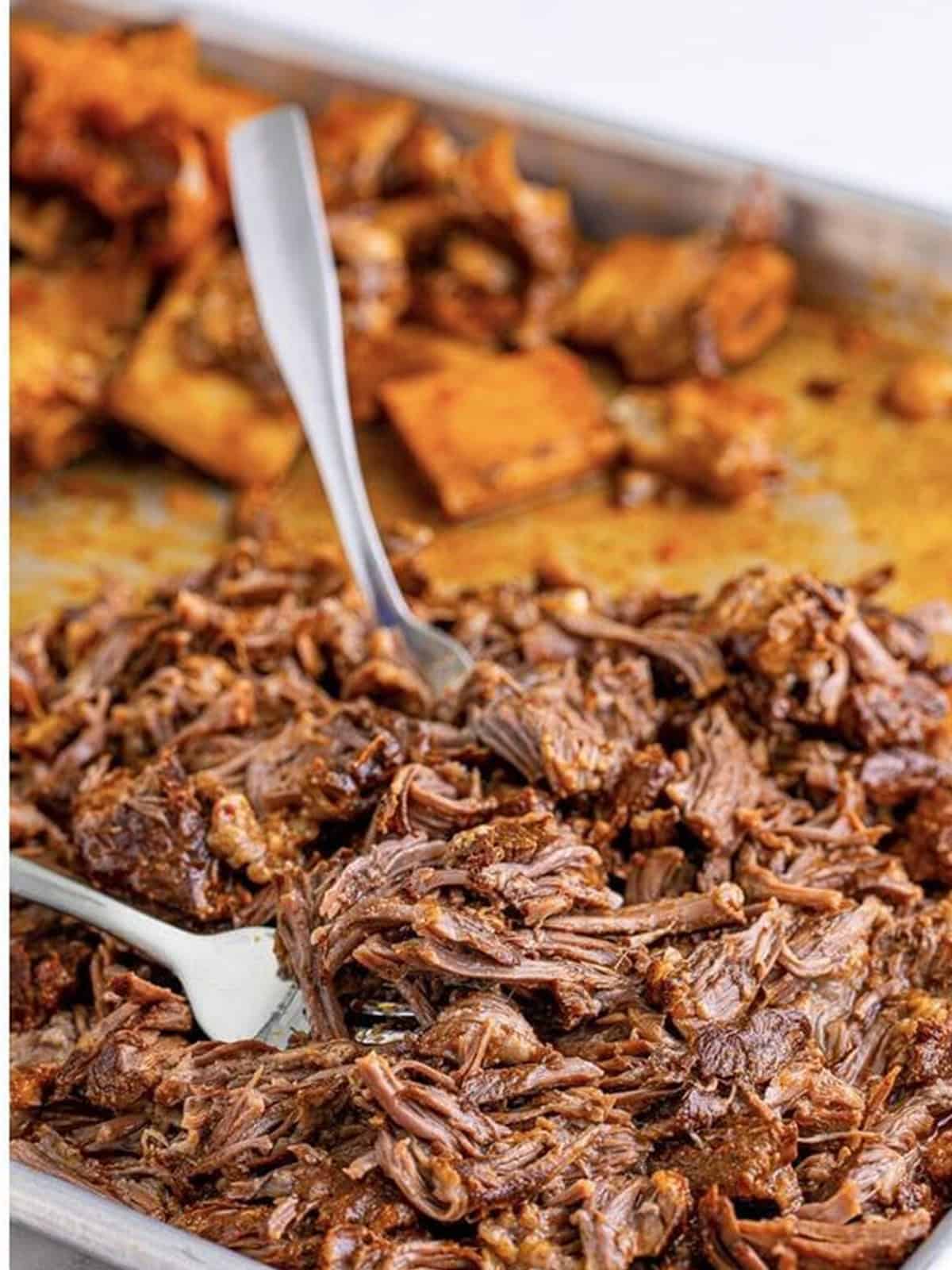 Tender birria beef short ribs shredded with a fork.