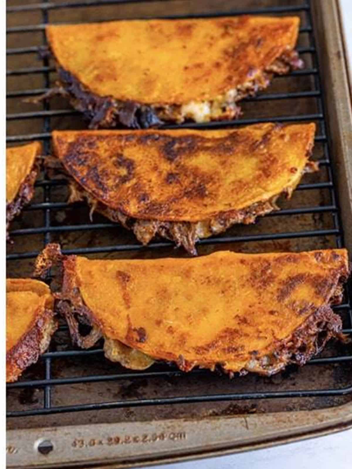 Crispy fried birria tacos on a wire rack ready to serve.