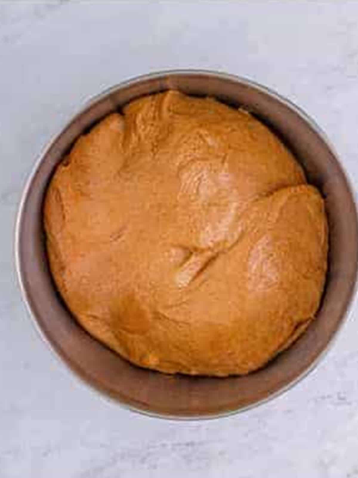 Brown bread dough risen and doubled in a greased bowl.
