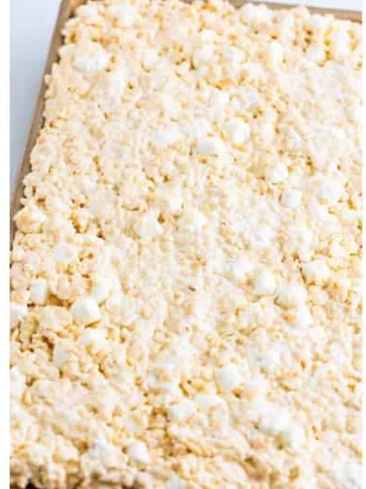 Rice krispie treat mixture gently pressed into a parchment lined jelly roll pan.