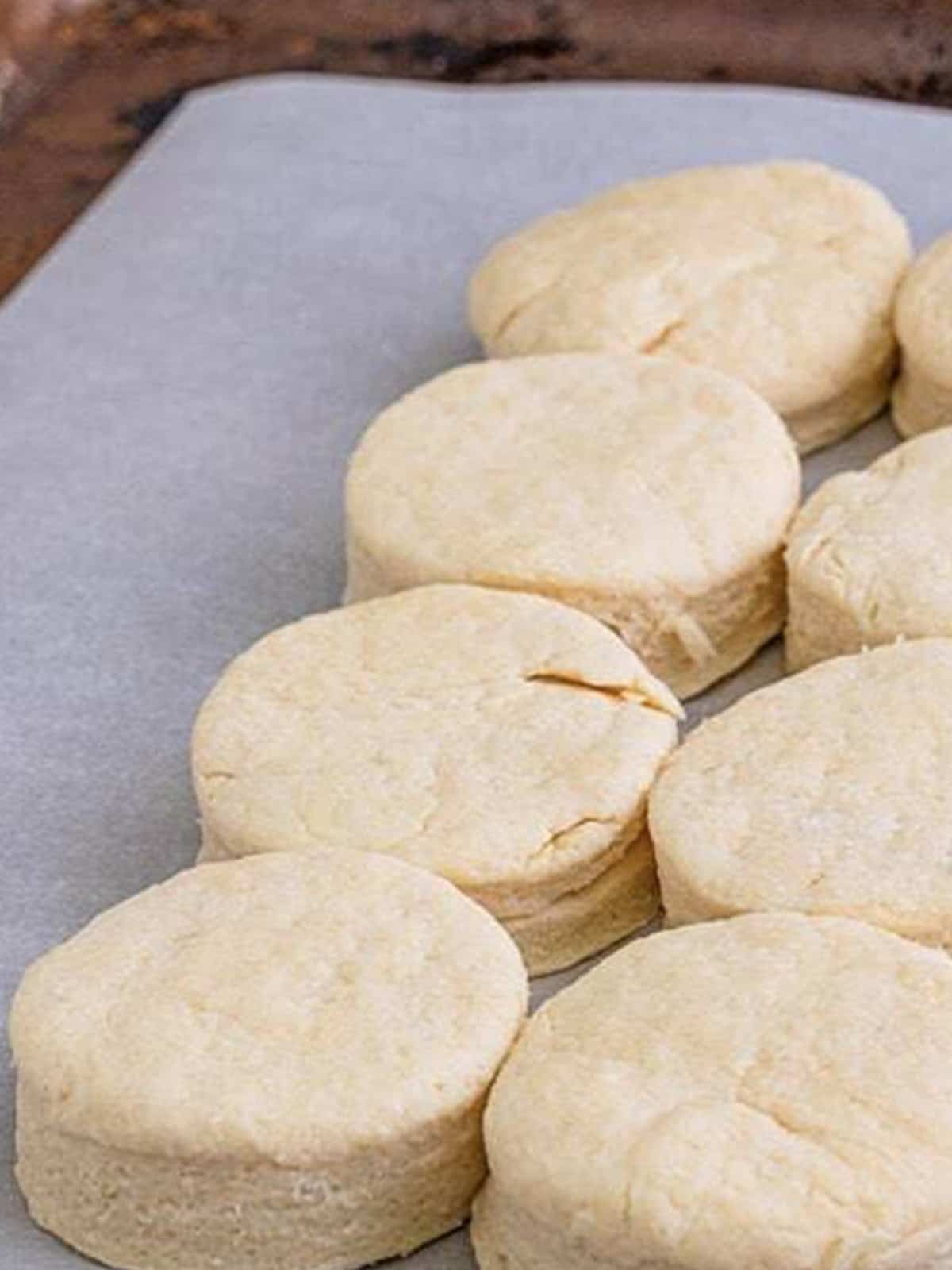 Cut buttermilk biscuits arranged touching on a parchment-lined tray.