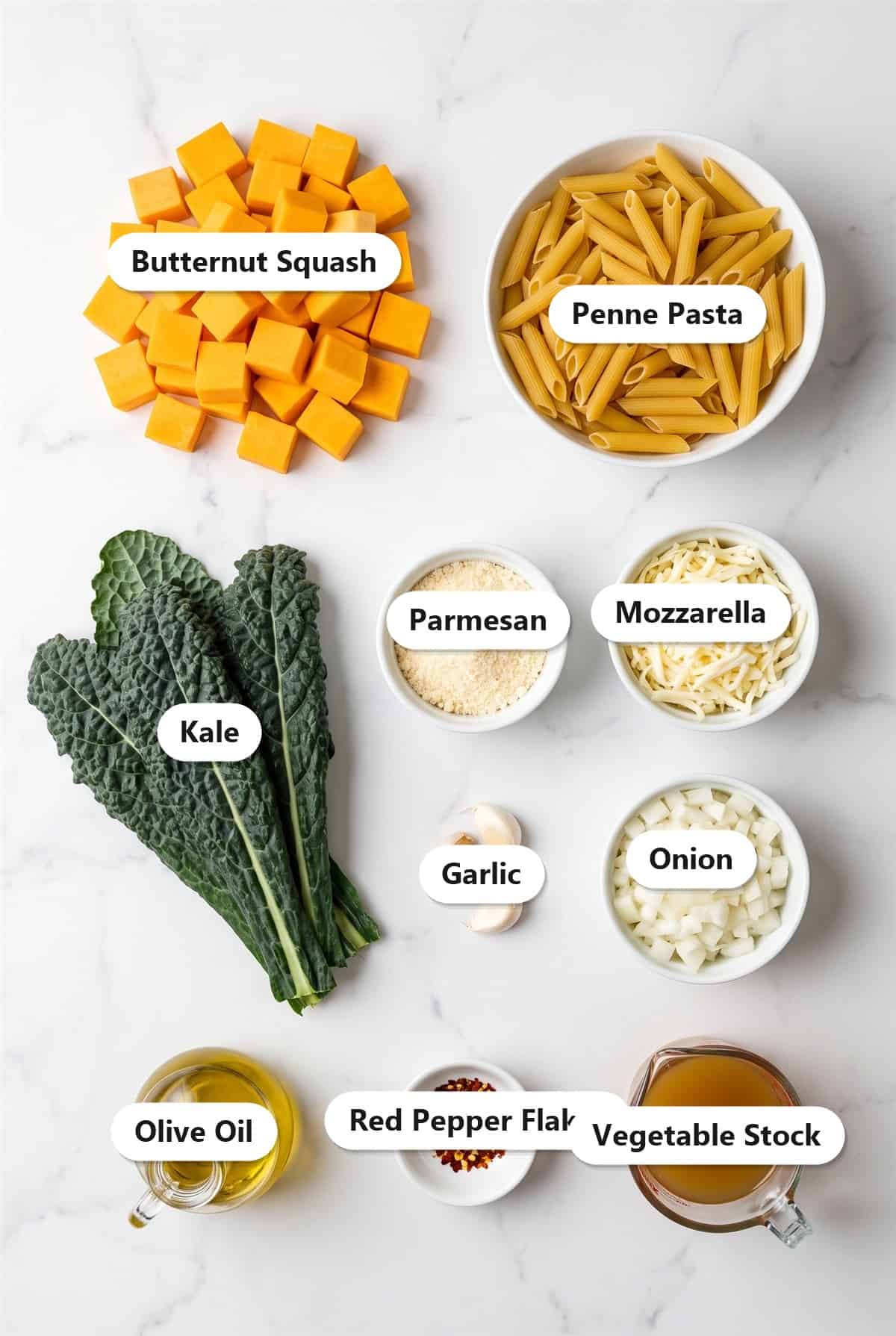 Labeled ingredients for butternut squash pasta including butternut squash, penne, kale, parmesan, mozzarella, garlic, onion, olive oil, red pepper flakes, and vegetable stock.