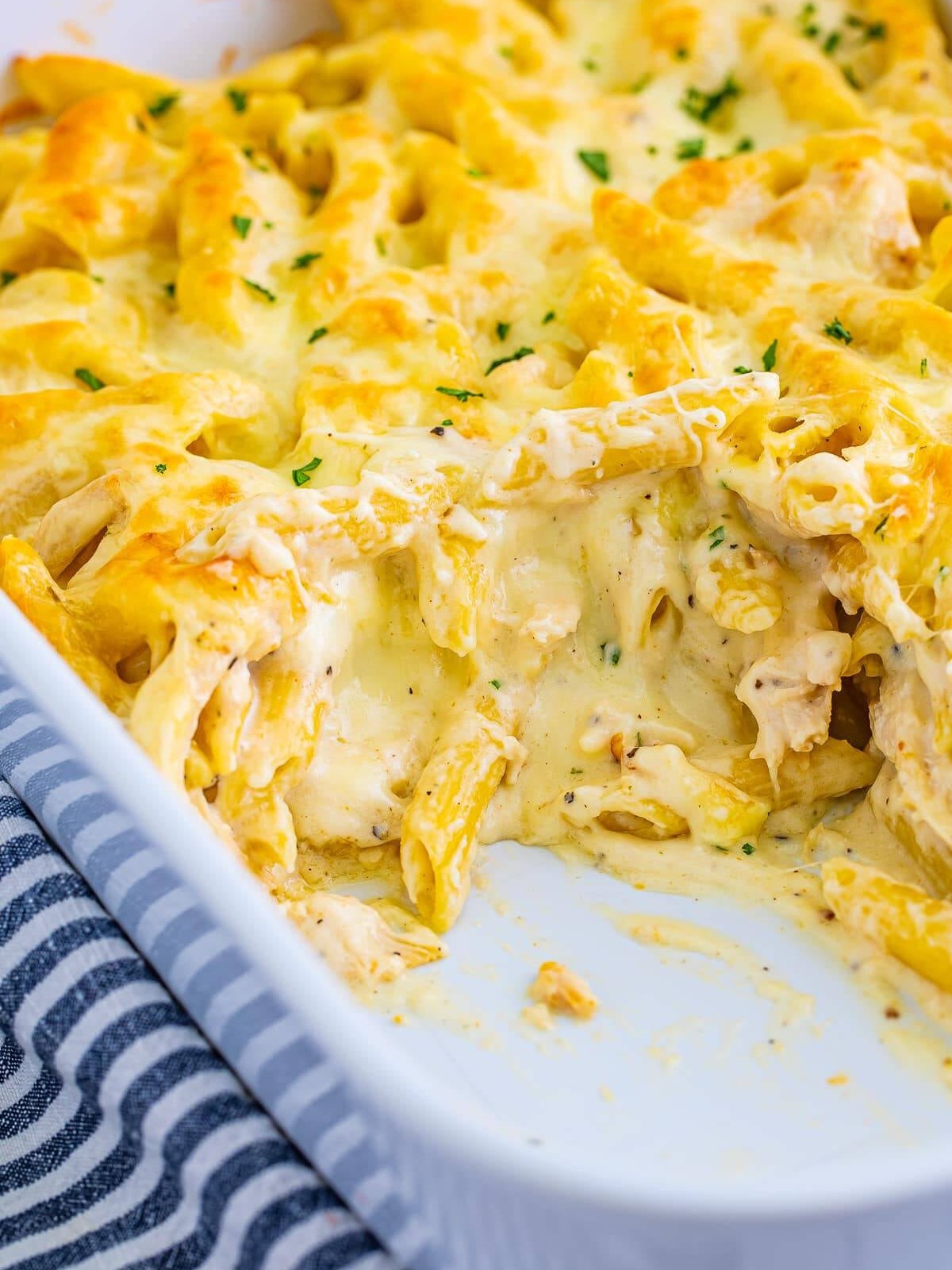 Baked chicken alfredo casserole golden and bubbly in a white baking dish.