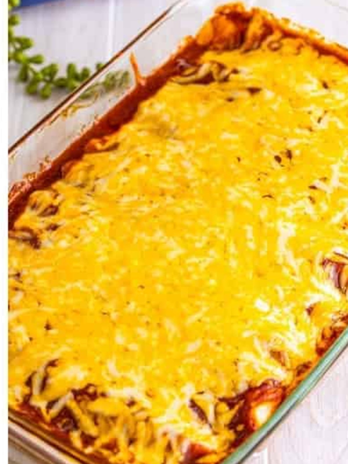 Baked chicken enchiladas with melted bubbly cheese on top.