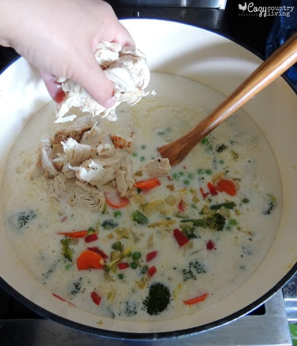 Shredded cooked chicken being added to the creamy soup base.